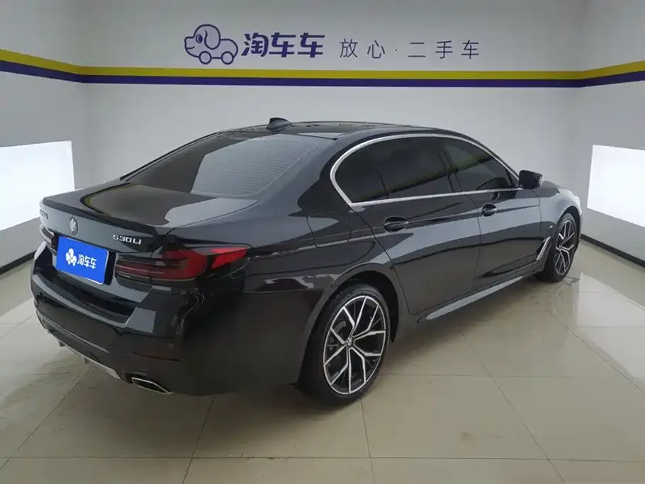 BMW 5 Series 2022 из CN, фото 3