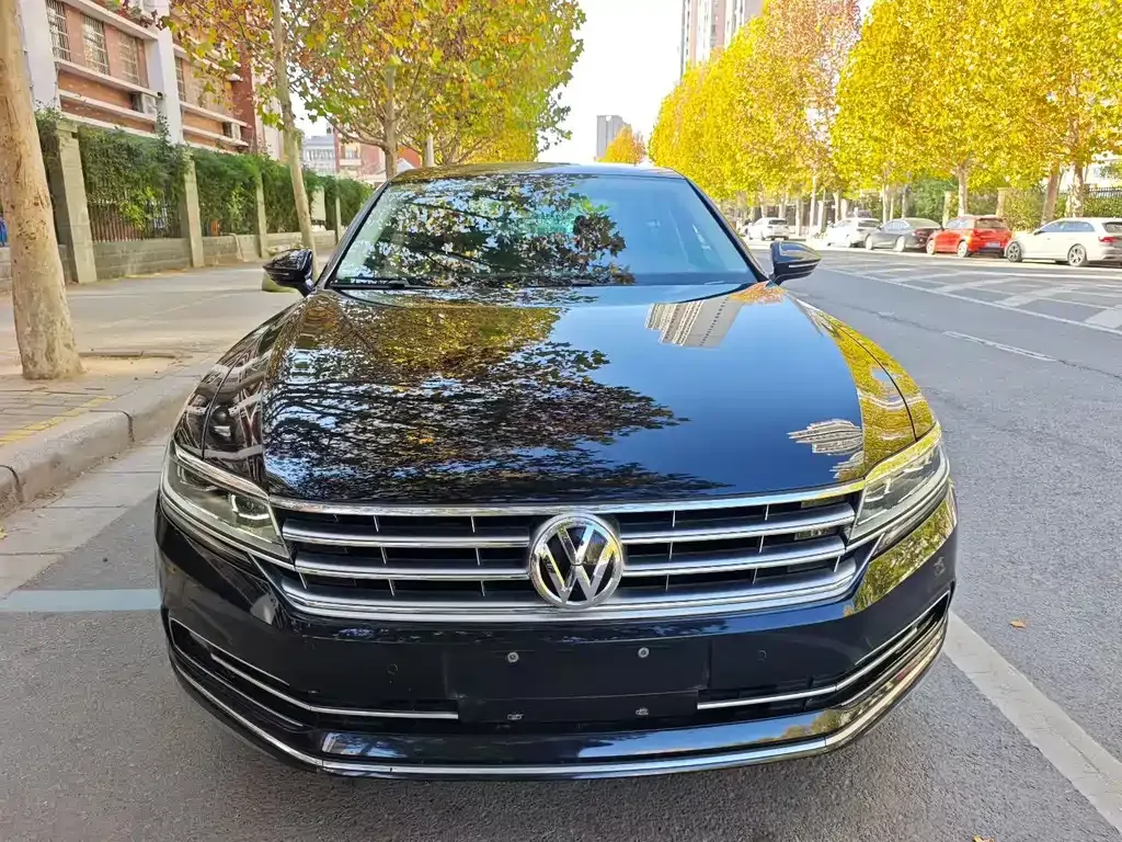 Volkswagen Phideon 2021 из CN, фото 2