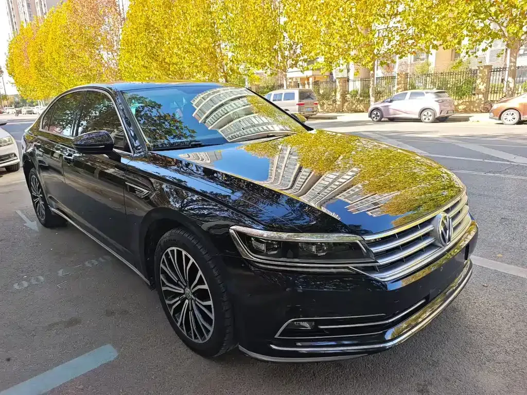 Volkswagen Phideon 2021 из CN, фото 3