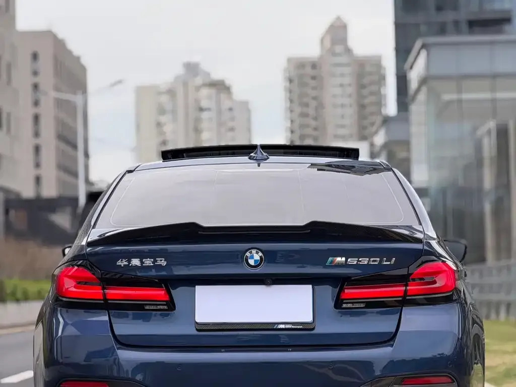 BMW 5 Series 2022 из CN, фото 5
