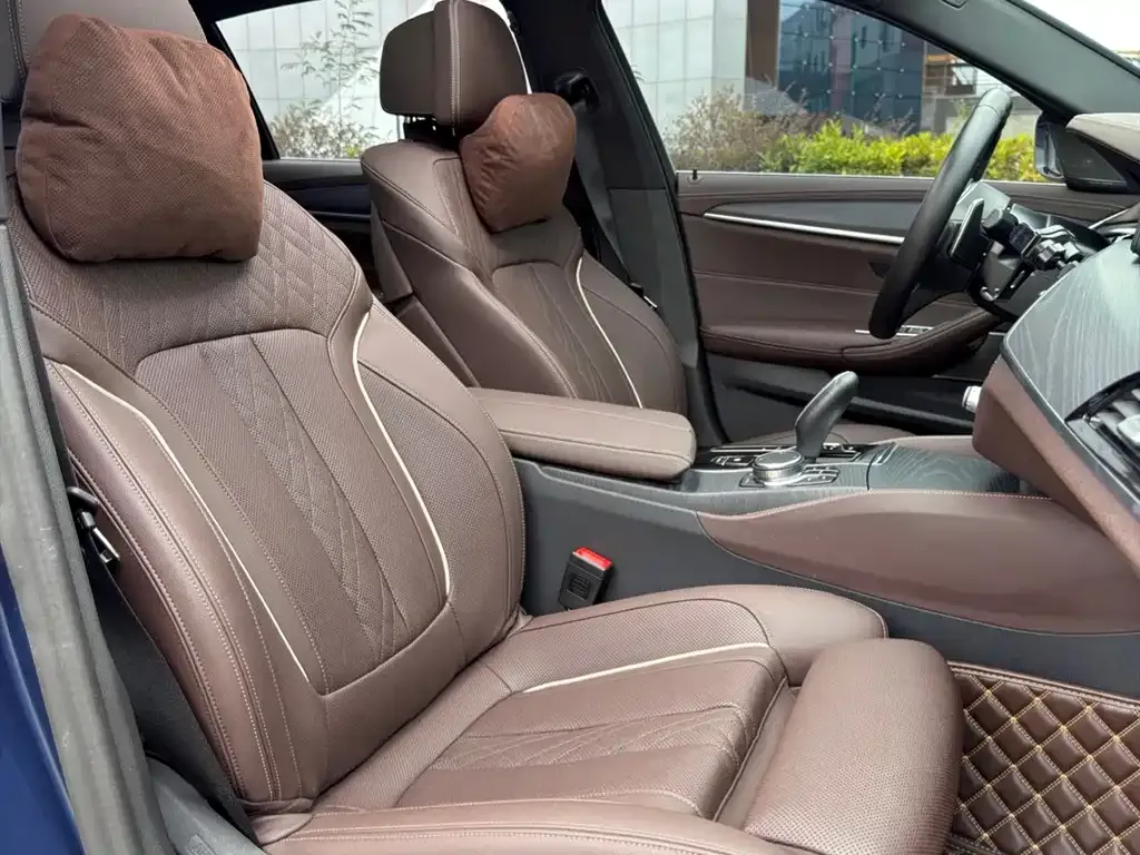 BMW 5 Series 2022 из CN, фото 9