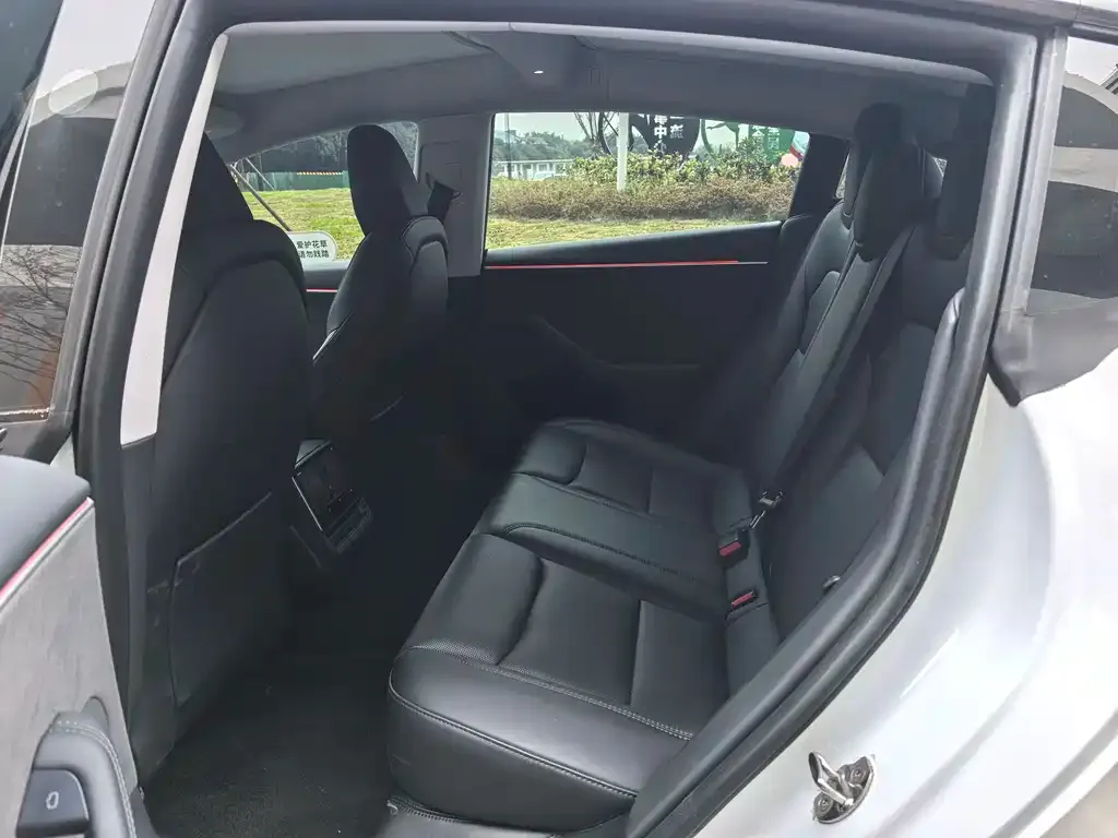 Tesla Model 3 2024 из CN, фото 8