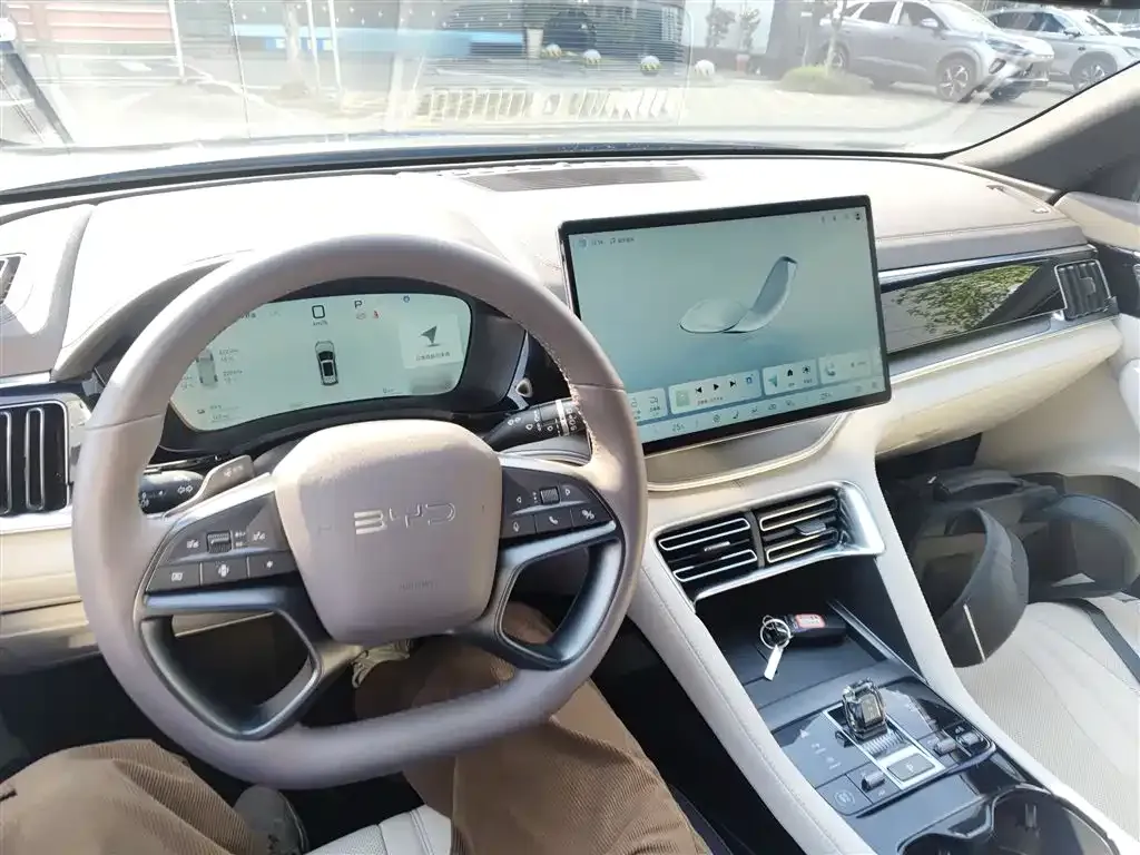 BYD PLUS New Energy 2025 из CN, фото 10