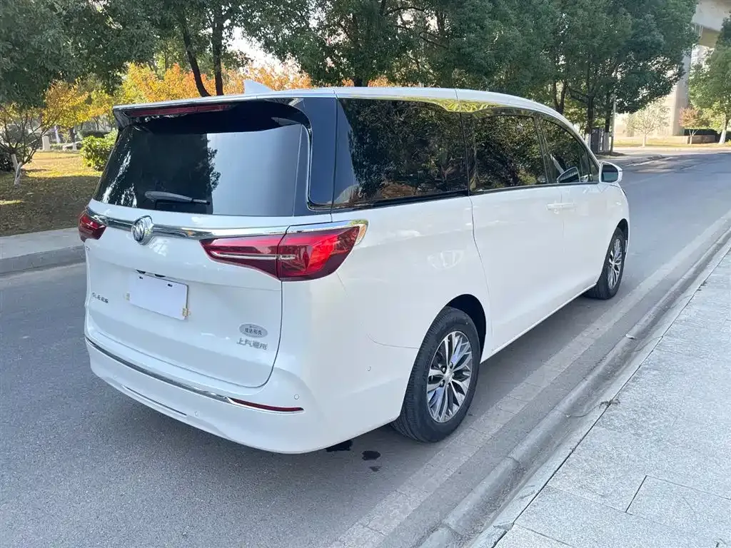 Buick GL8 2022 из CN, фото 7