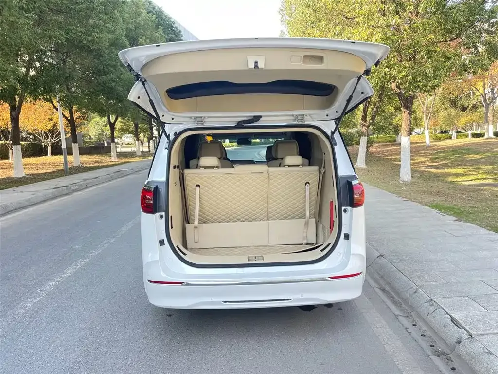 Buick GL8 2022 из CN, фото 9