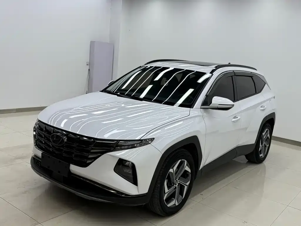 Hyundai Tucson 2021 из CN, фото 1