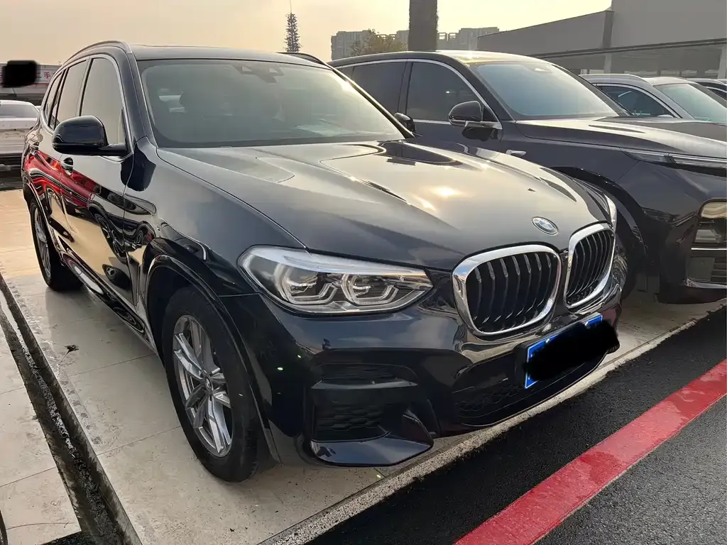 BMW X3 2024 из CN, фото 3