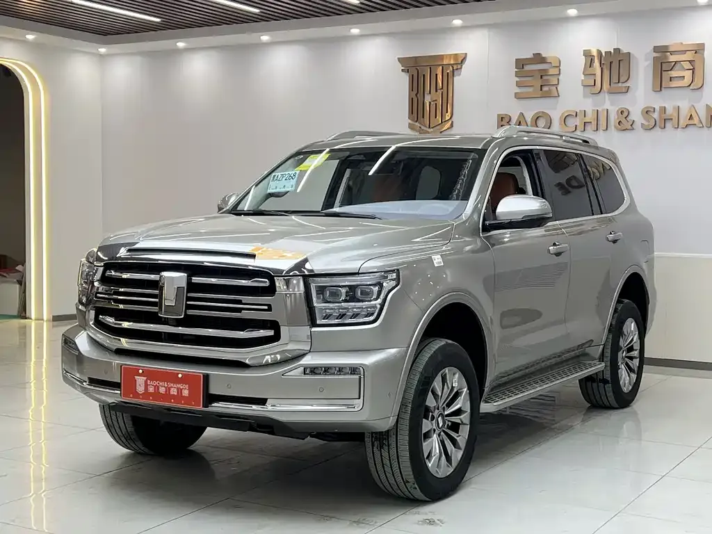 Tank 500 New Energy 2025 из CN, фото 1