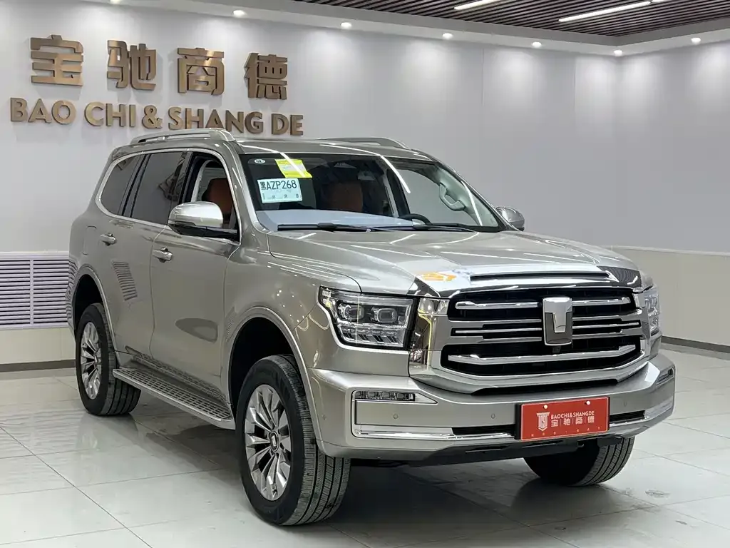 Tank 500 New Energy 2025 из CN, фото 3