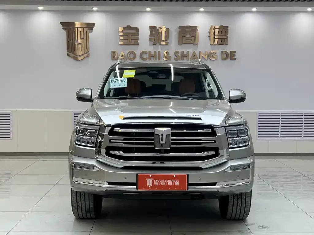 Tank 500 New Energy 2025 из CN, фото 4