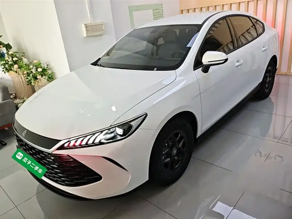 BYD Qin PLUS — фото 2