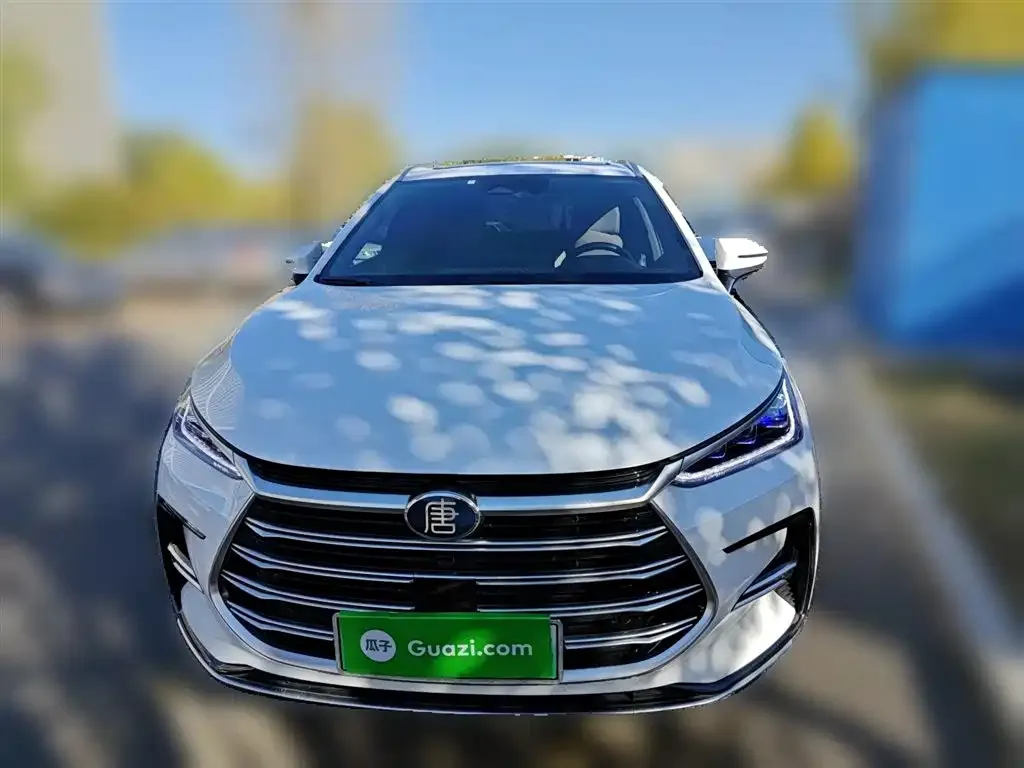 BYD Tang New Energy 2022 из CN, фото 3