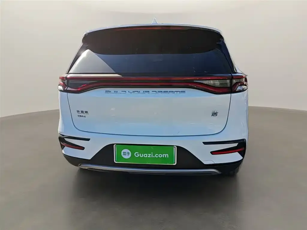 BYD Tang New Energy 2022 из CN, фото 6
