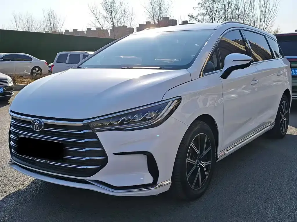 BYD MAX New Energy 2023 из CN, фото 1