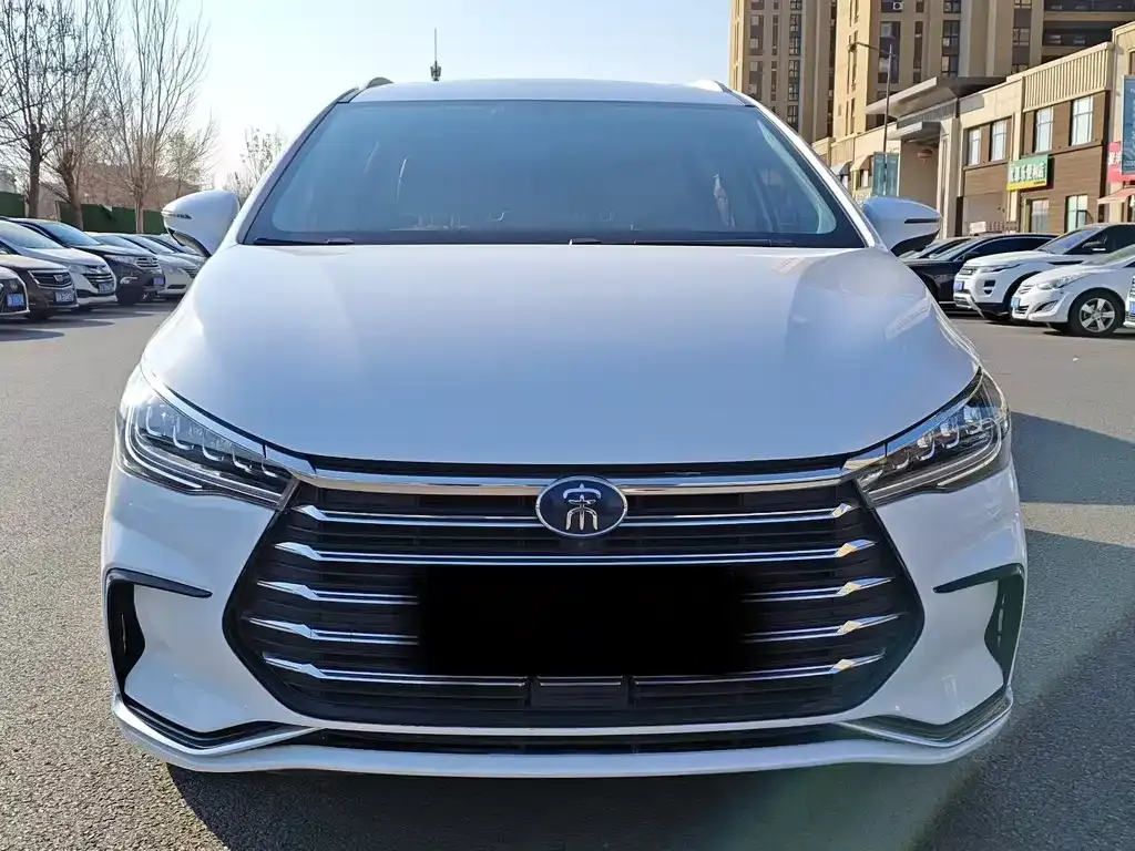 BYD MAX New Energy 2023 из CN, фото 2