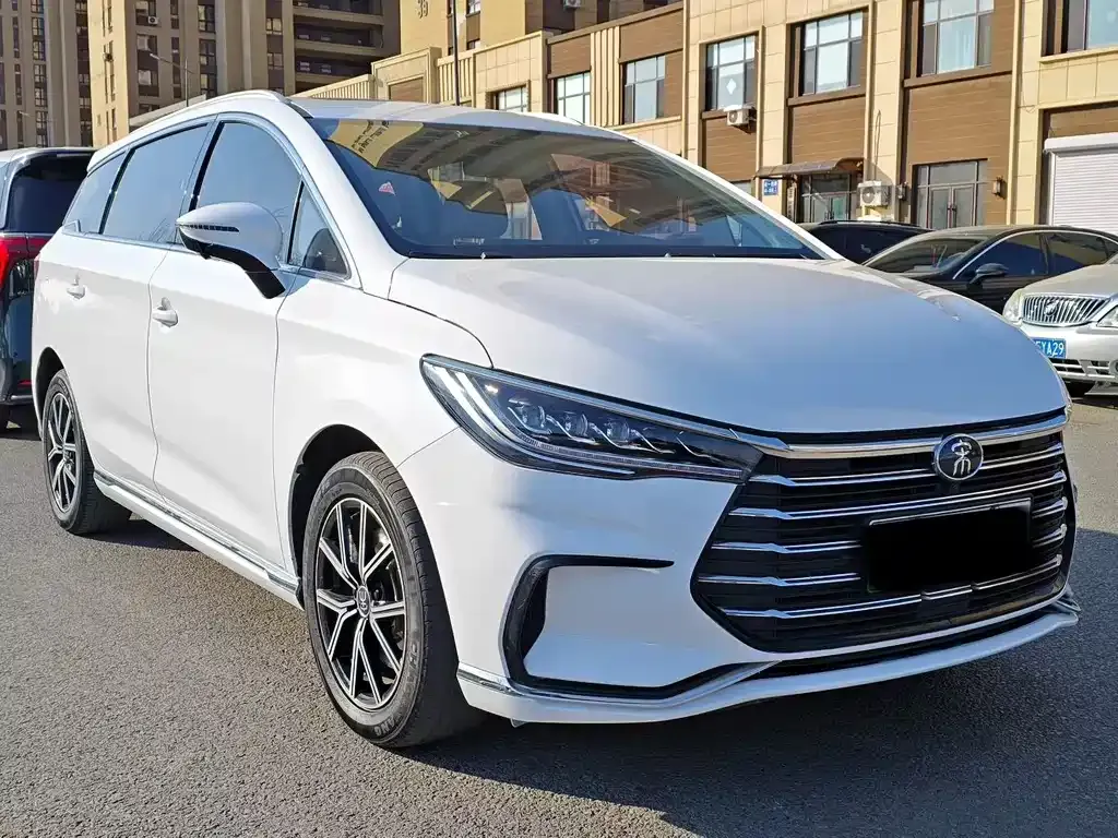 BYD MAX New Energy 2023 из CN, фото 3