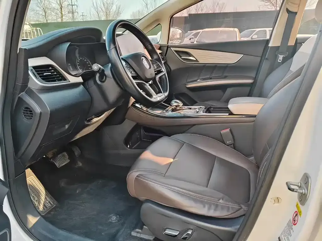 BYD MAX New Energy 2023 из CN, фото 6