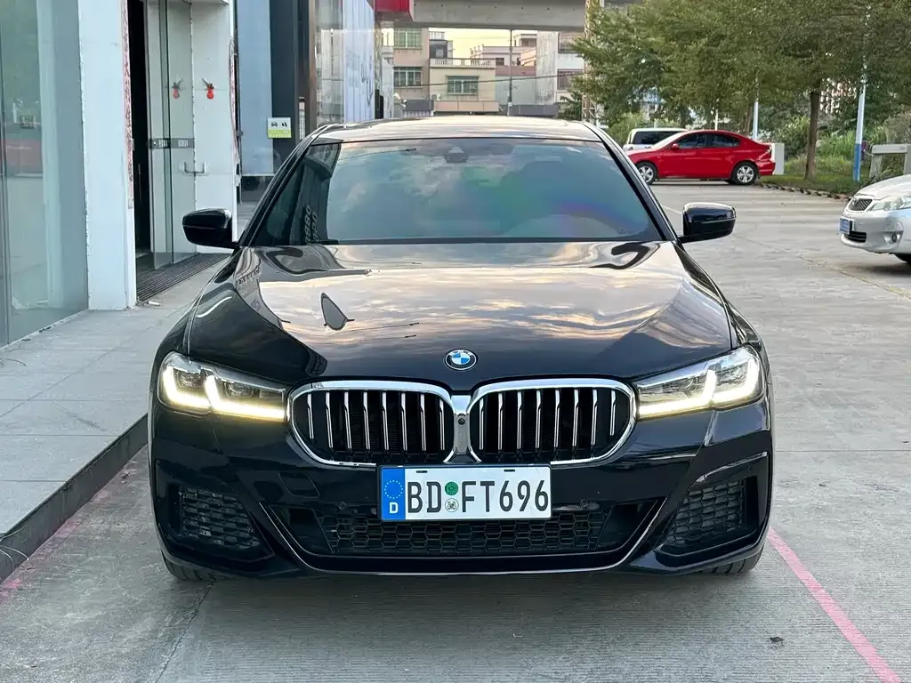 BMW 5 Series 2023 из CN, фото 2