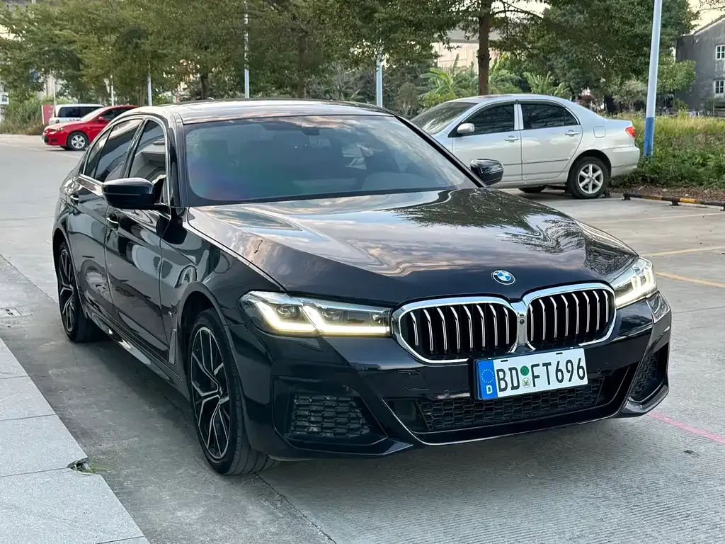 BMW 5 Series 2023 из CN, фото 3