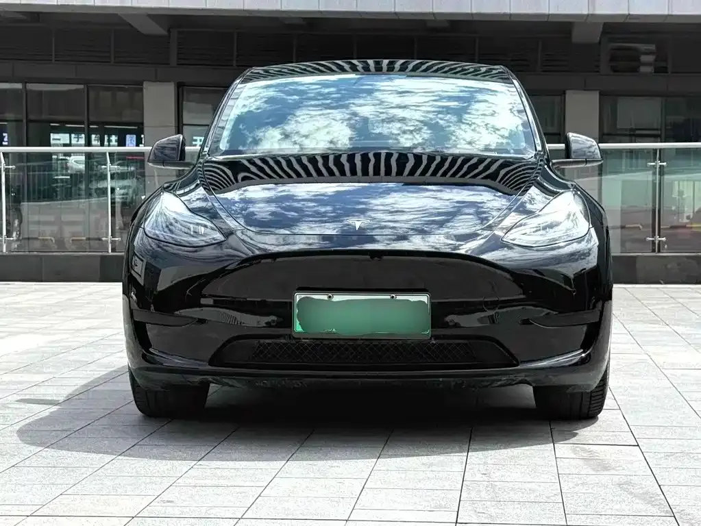 Tesla Model Y 2023 из CN, фото 2