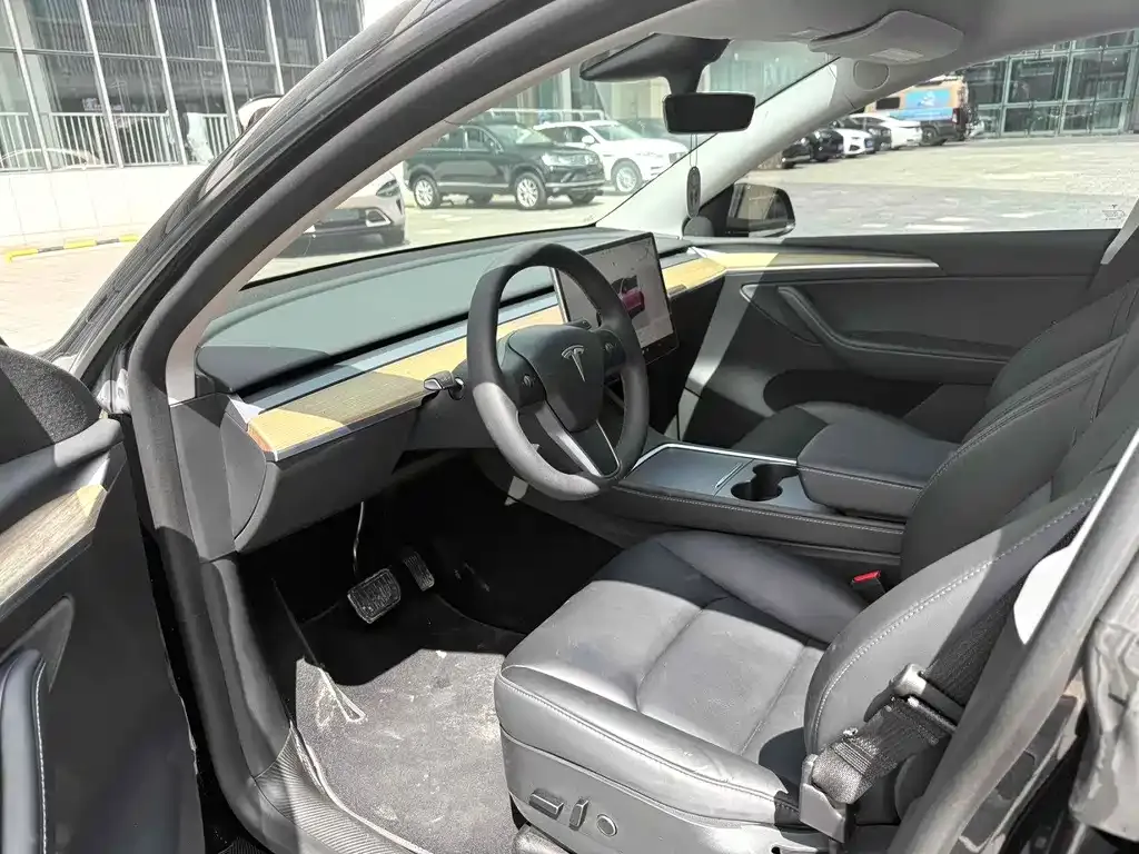 Tesla Model Y 2023 из CN, фото 4
