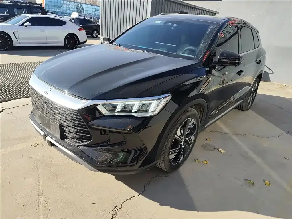 BYD Pro New Energy 2024 из CN, фото 1