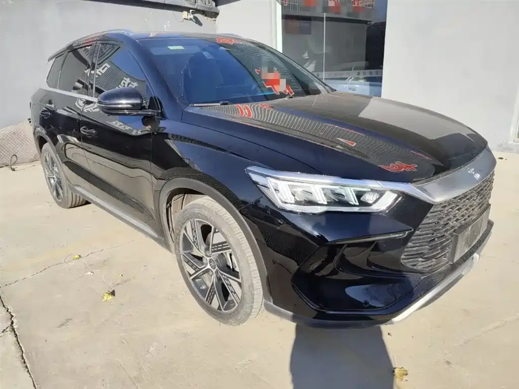 BYD Pro New Energy 2024 из CN, фото 4