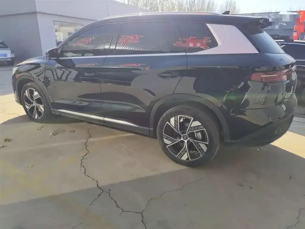 BYD Pro New Energy 2024 из CN, фото 5