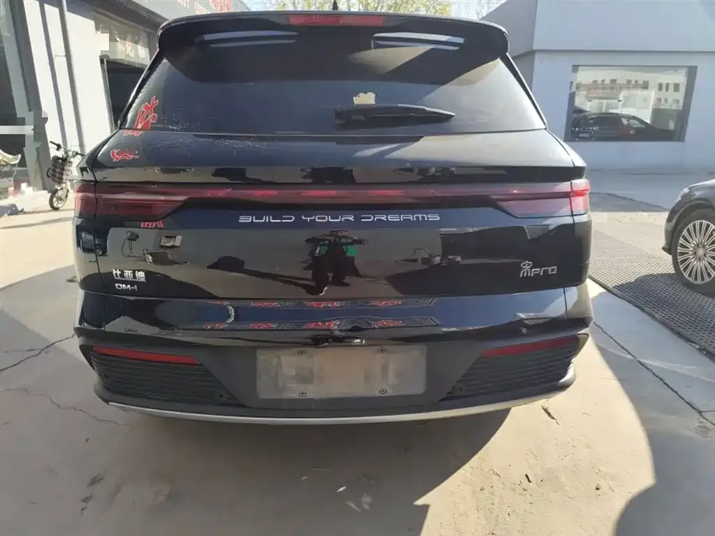 BYD Pro New Energy 2024 из CN, фото 6