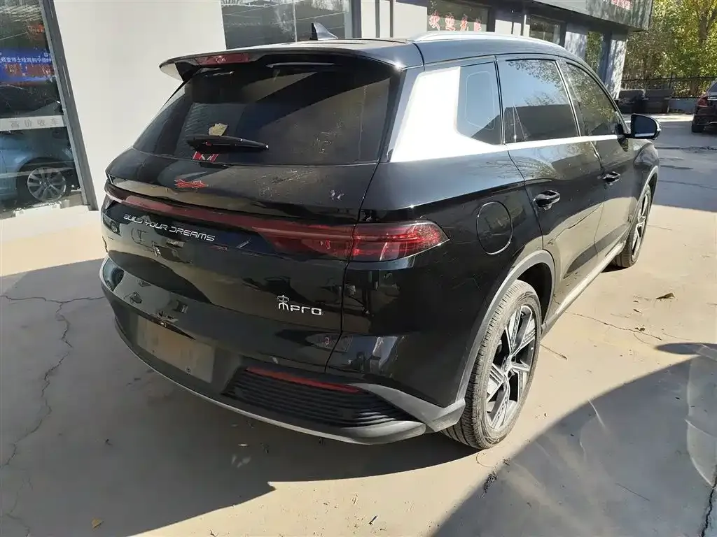 BYD Pro New Energy 2024 из CN, фото 7