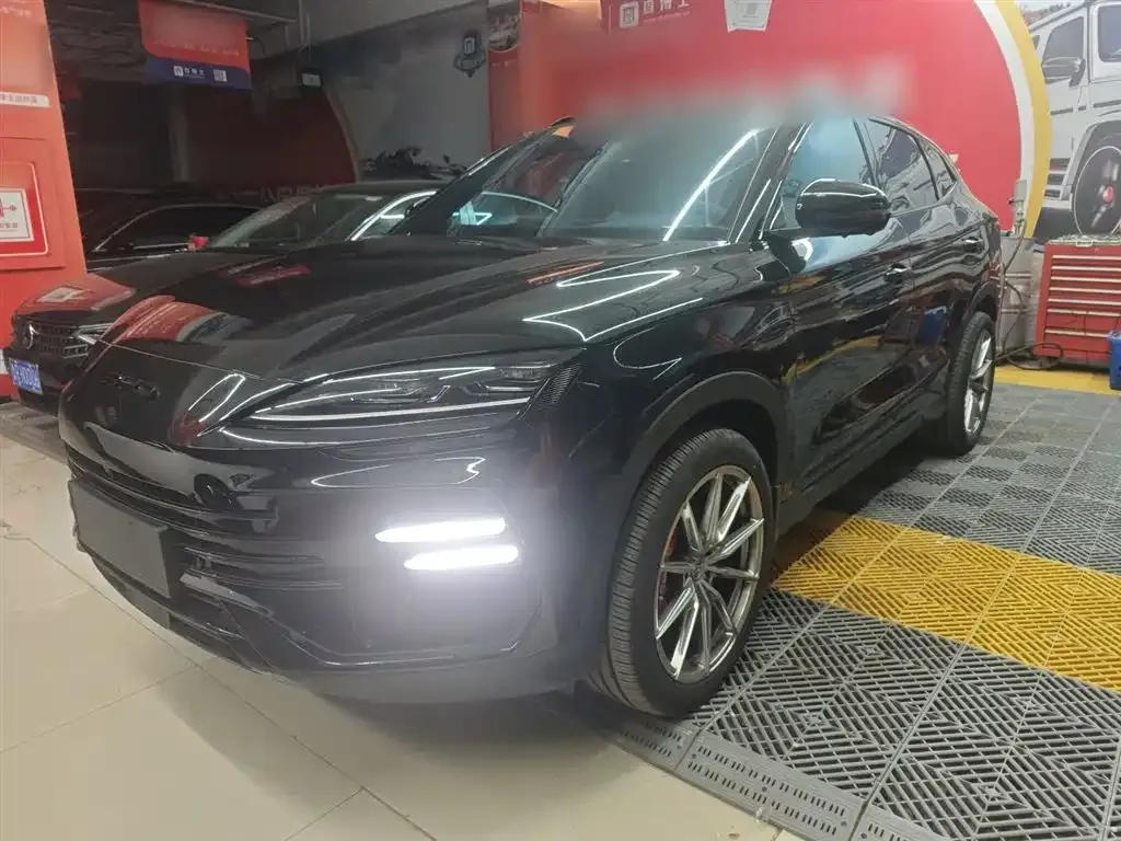 BYD PLUS New Energy — фото 2