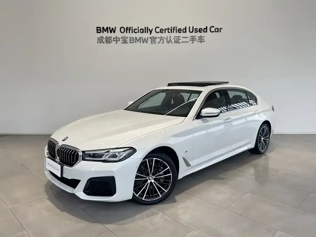 BMW 5 Series 2023 из CN, фото 1