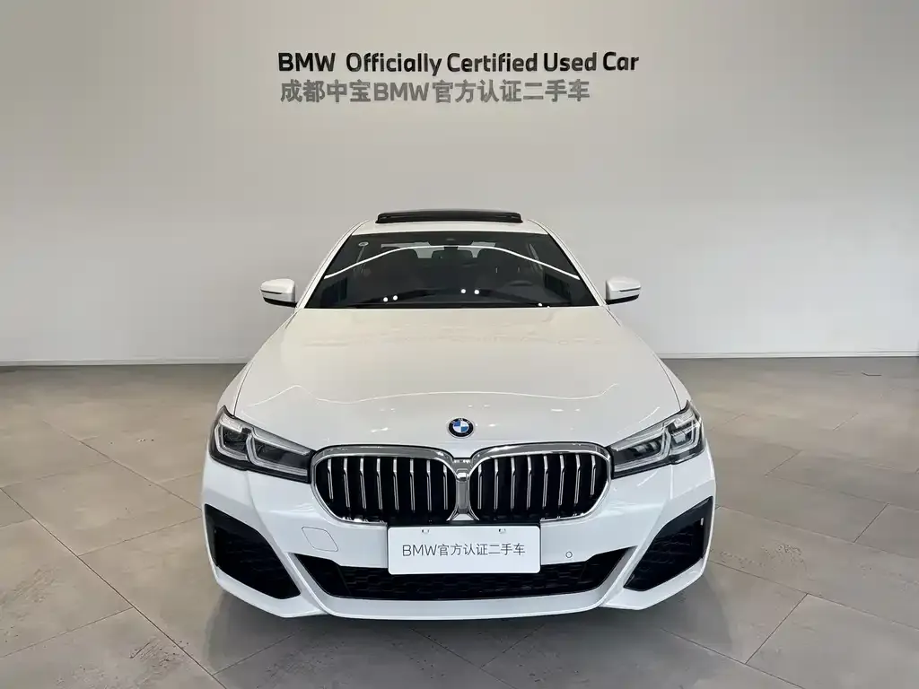 BMW 5 Series 2023 из CN, фото 2