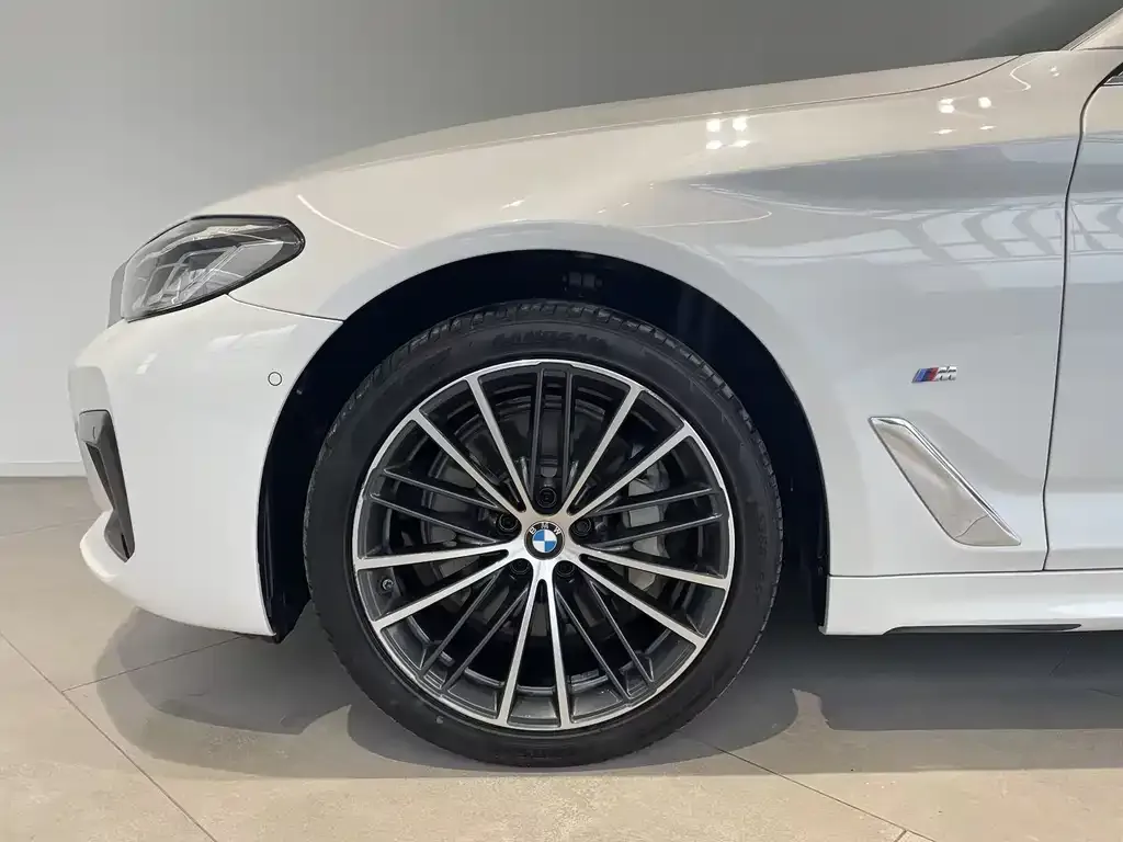 BMW 5 Series 2023 из CN, фото 3