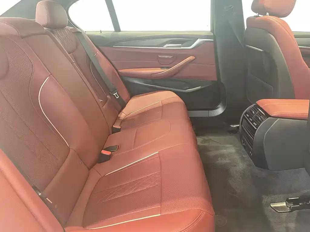 BMW 5 Series 2023 из CN, фото 8