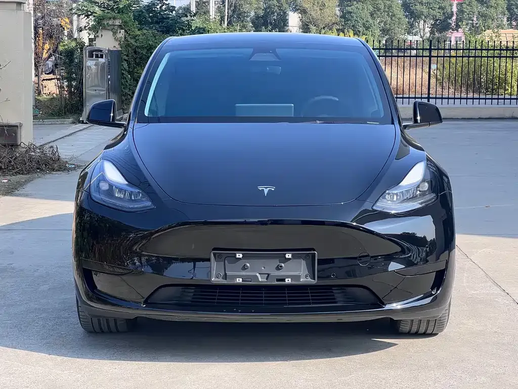 Tesla Model Y 2023 из CN, фото 2