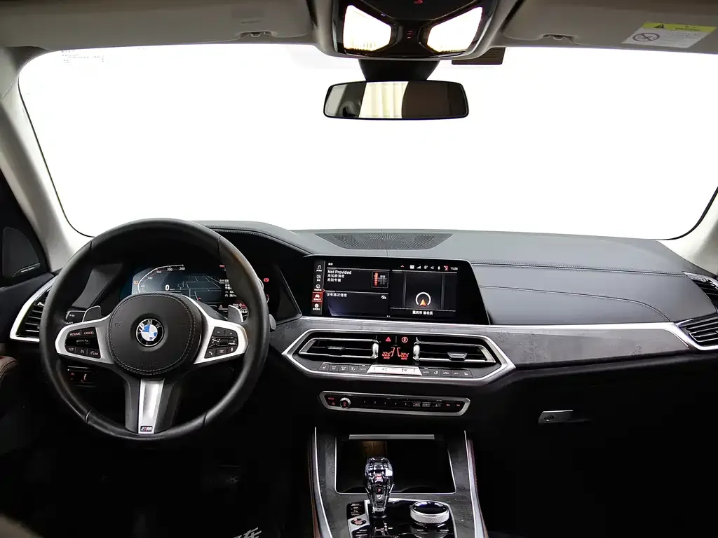 BMW X5 (Import) 2021 из CN, фото 5