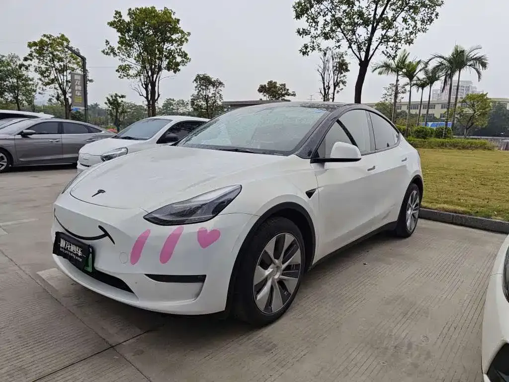 Tesla Model Y 2021 из CN, фото 1