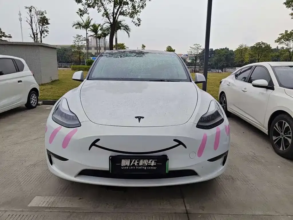 Tesla Model Y 2021 из CN, фото 2