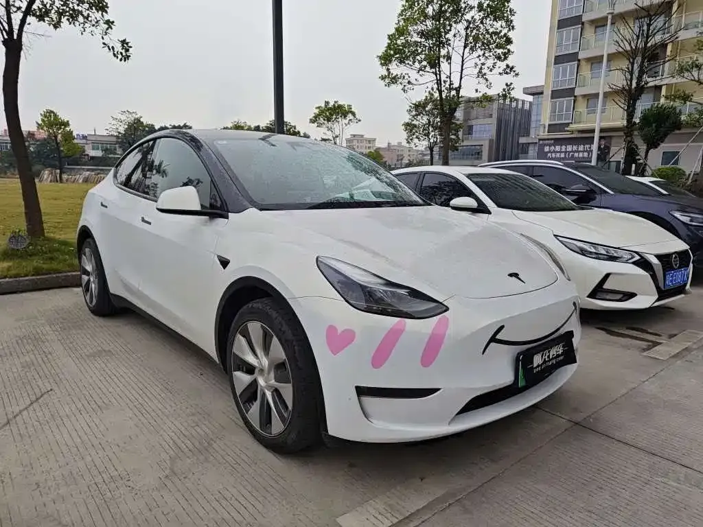 Tesla Model Y 2021 из CN, фото 3