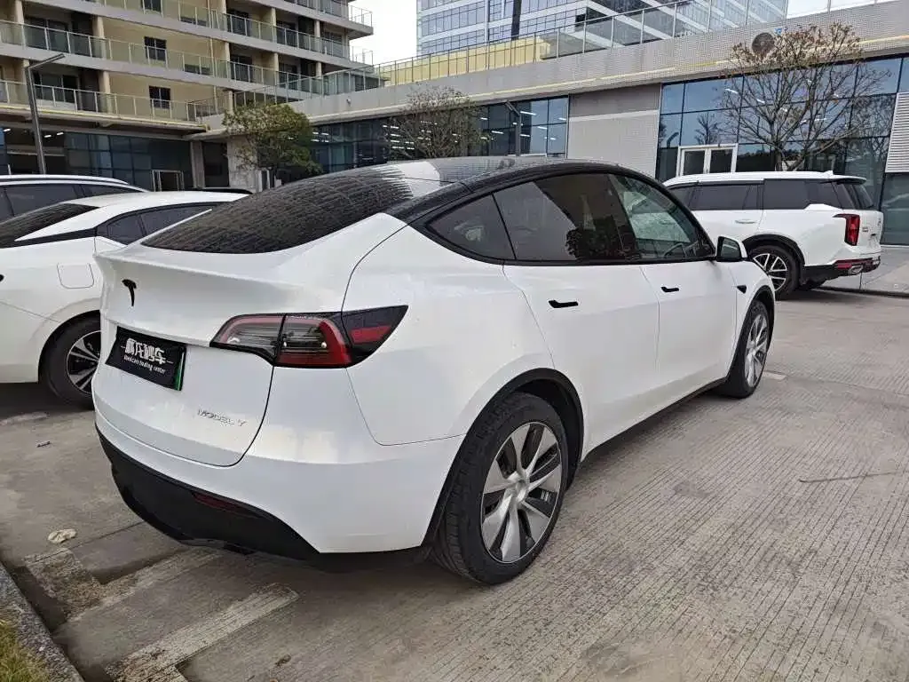Tesla Model Y 2021 из CN, фото 4
