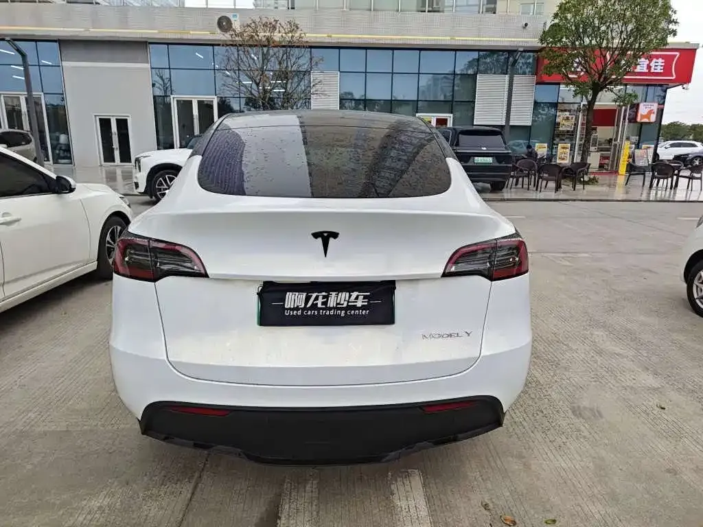Tesla Model Y 2021 из CN, фото 5