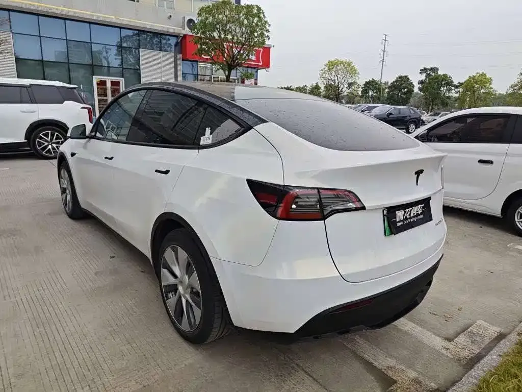 Tesla Model Y 2021 из CN, фото 6