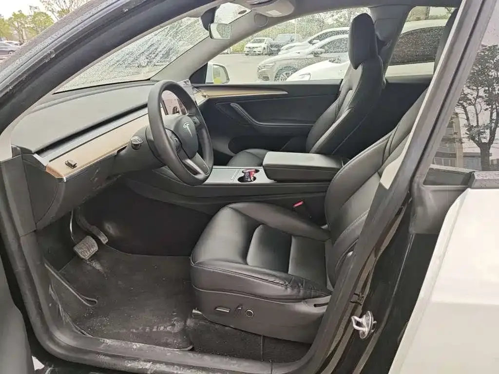 Tesla Model Y 2021 из CN, фото 7