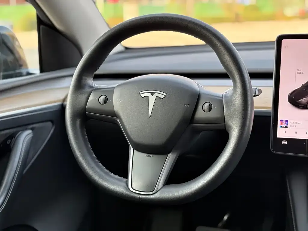 Tesla Model Y — фото 10