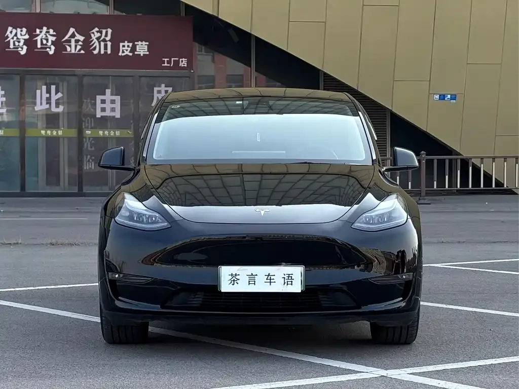 Tesla Model Y — фото 2
