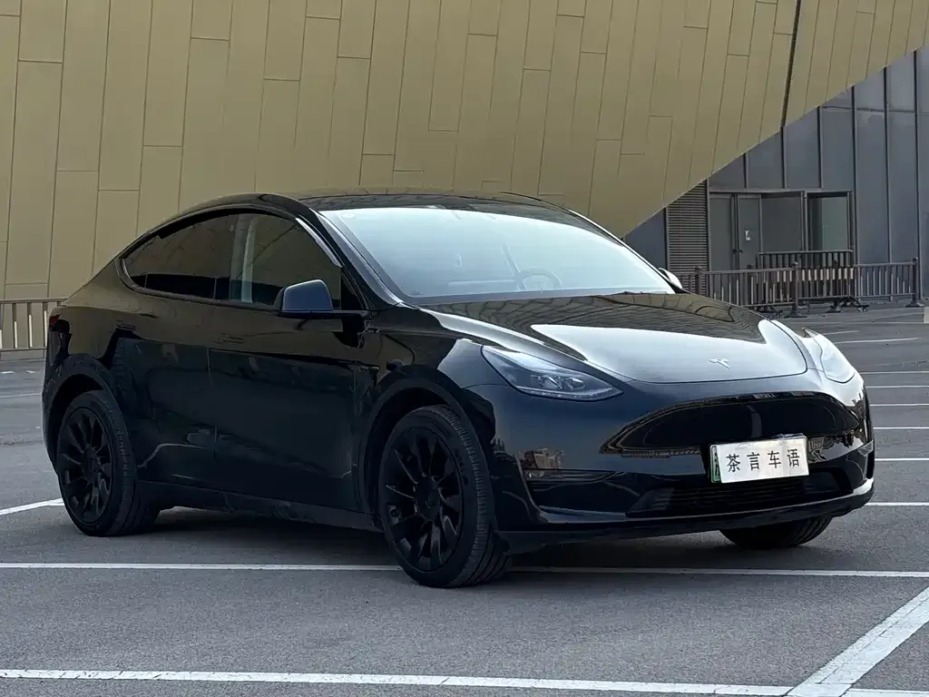 Tesla Model Y — фото 3