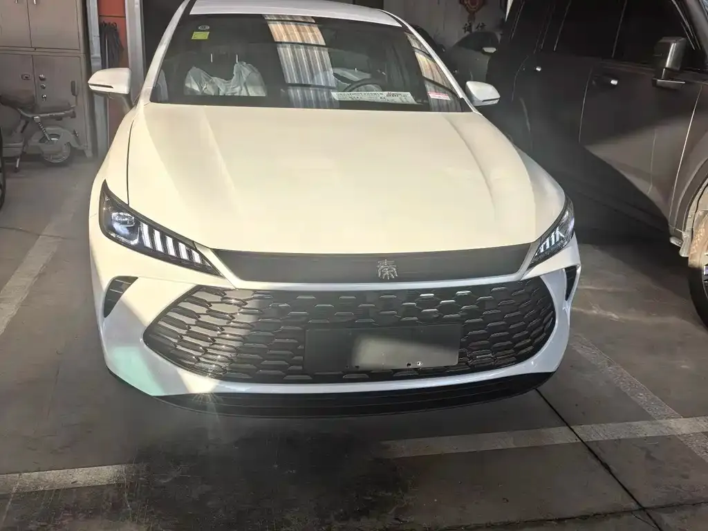 BYD Qin PLUS 2025 из CN, фото 1
