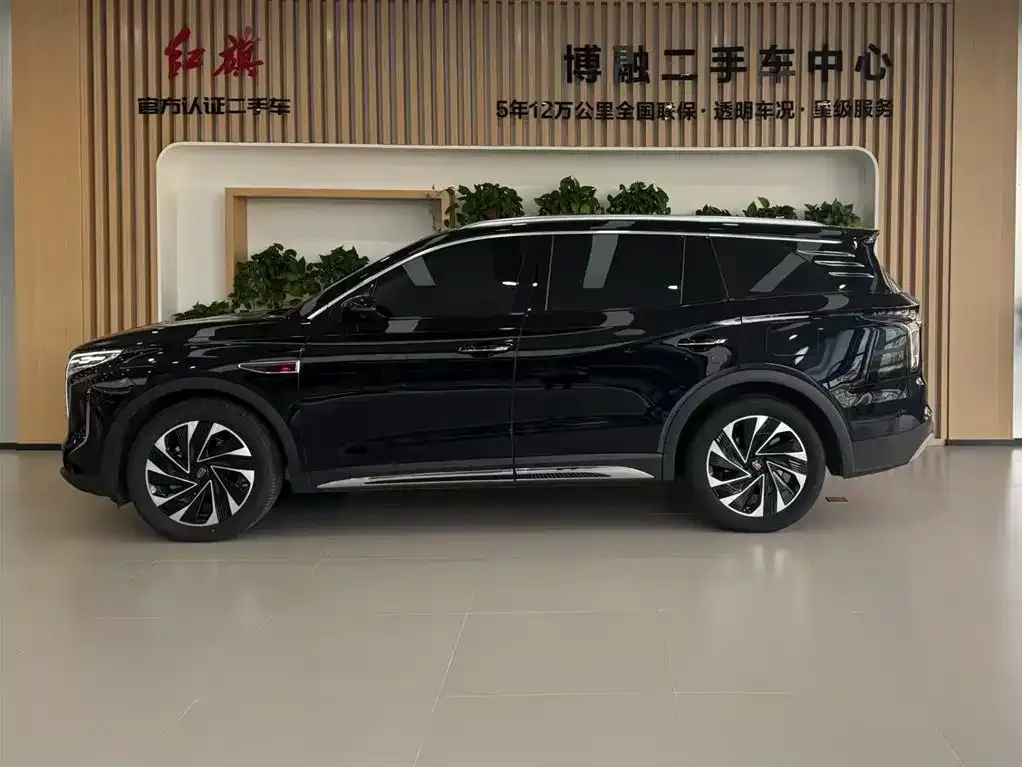 Hongqi HS7 PHEV 2024 из CN, фото 3