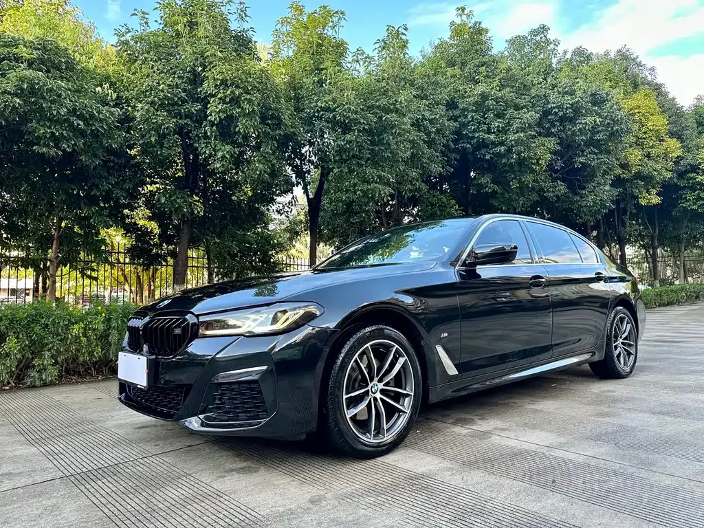 BMW 5 Series 2022 из CN, фото 1